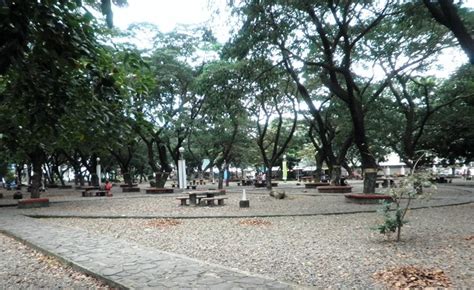 Reported crime incidents at Capitol Mini Forest Park, Bulacan .